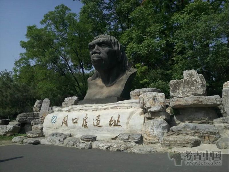 郭林：北京猿人的发现研究与失踪