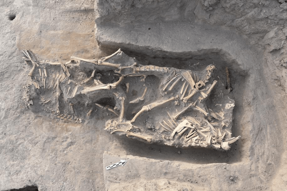 宁夏：完成一处汉墓抢救性考古发掘 共发现5座古墓葬