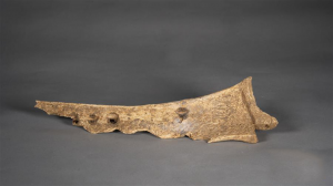 河南发现大型商周遗址 出土甲骨文记载的罕见人祭遗存