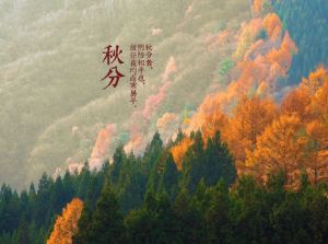 宗和：秋分之美——壁画里的山水与稻田，已悄然入秋