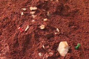 江西：发现旧石器时代旷野遗址 出土5000余件石制品