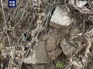 天津：蓟州区新发现一处汉墓群
