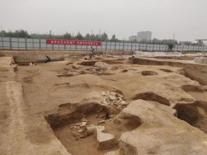 陕西：镐京遗址发现西周时期道路等遗迹