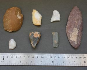 宁夏：罗山地区考古调查取得重要收获