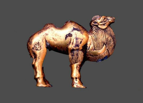   秦始皇陵陵西发现大型墓葬 出土珍贵单体金骆驼
