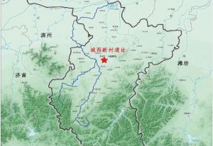 山东：淄博城西新村遗址考古收获与初步认识