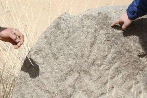 内蒙古阿拉善新发现古代岩画遗址
