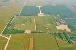 河南：殷墟发现面积最大的西周遗址