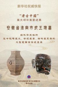 安徽：淮南市武王墩墓考古新发现