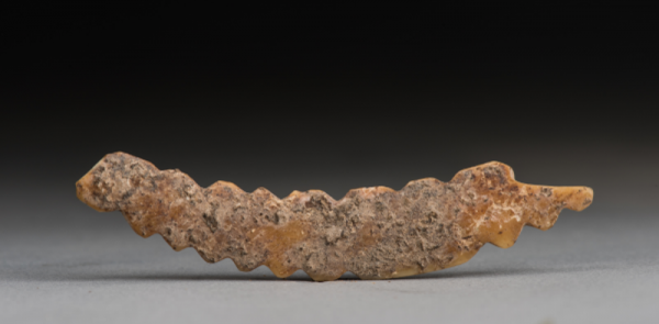 陈若茜：五千多年前的世界最早丝织品——仰韶文化再现重大考古发现
