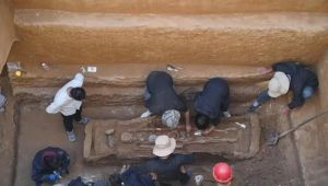 陕西：发现一完整西汉早期墓葬 出土罕见陶仓装满小米