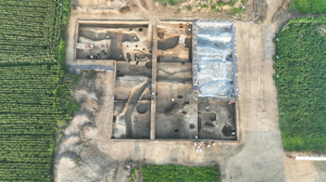 河南：豫东地区考古发现4000年前夏代“粮仓”