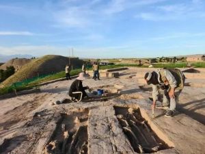中乌联合考古队发现贵霜帝国大型聚落遗址